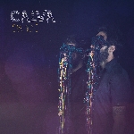 calva - siamois calva - siamois