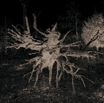 trente oiseaux familiers - s/t trente oiseaux familiers - s/t