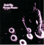badal roy - passing dreams badal roy - passing dreams