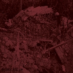 vatican shadow & ancient methods - bunkerterror vatican shadow & ancient methods - bunkerterror