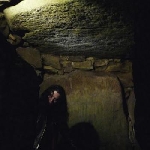 stephen o'malley - cocon & oiseau de nuit (gold ed.) stephen o'malley - cocon & oiseau de nuit (gold ed.)