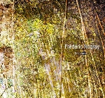 frédéric nogray - ondureñas frédéric nogray - ondureñas