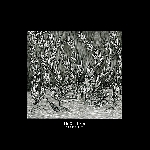 ingrina - etter lys ingrina - etter lys