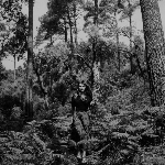 eliane radigue - jouet éléctronique / elemental I eliane radigue - jouet éléctronique / elemental I