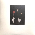 félicia atkinson - the flower and the vessel félicia atkinson - the flower and the vessel