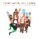 the wild classical music ensemble - tout va bien se passer / het kommt allemaal wel goed the wild classical music ensemble - tout va bien se passer / het kommt allemaal wel goed