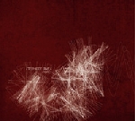 stéphane rives - fibres stéphane rives - fibres