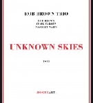 rob brown trio (taborn - waits) - unknown skies rob brown trio (taborn - waits) - unknown skies