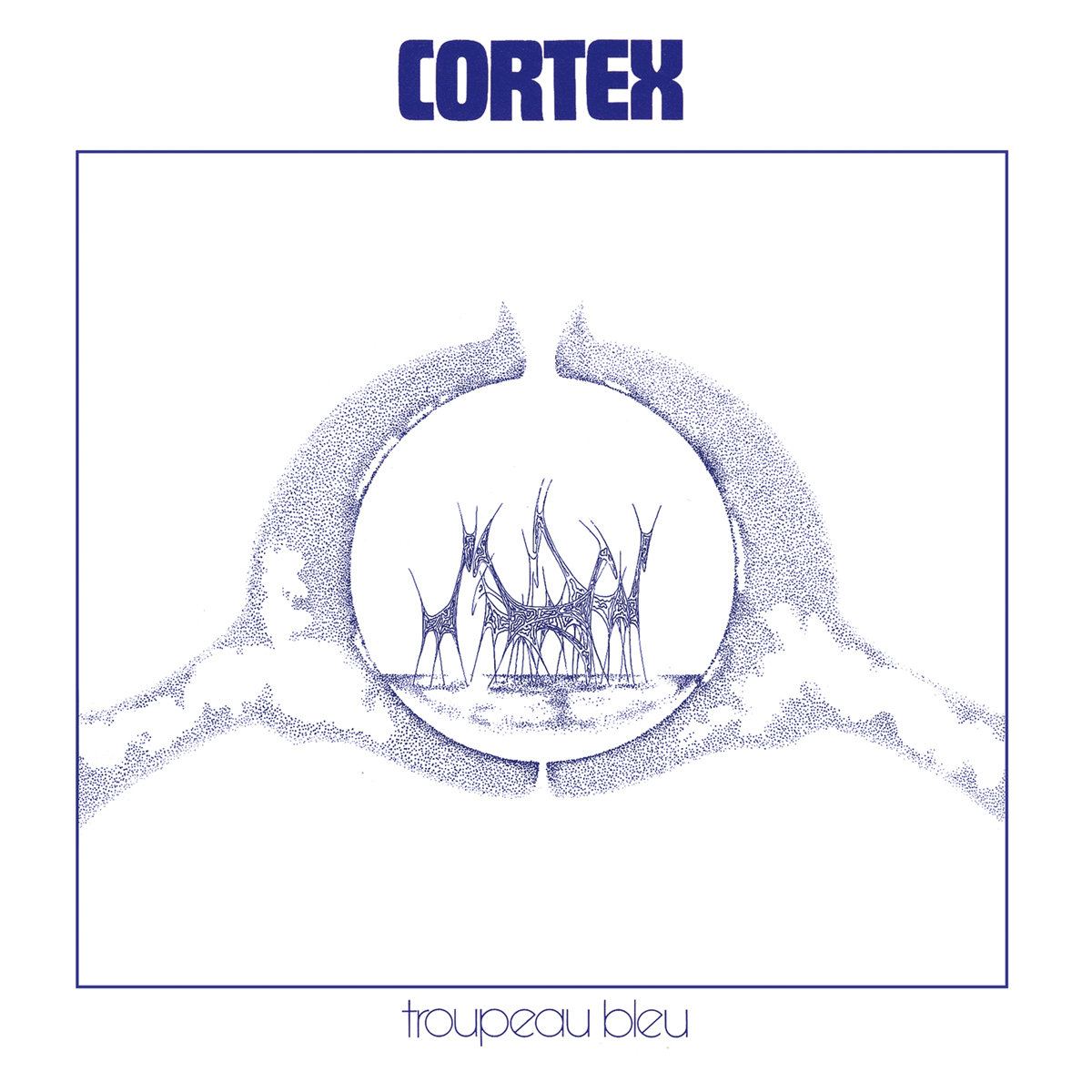 cortex - troupeau bleu cortex - troupeau bleu
