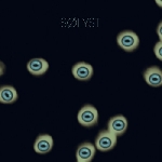 solyst - solyst solyst - solyst