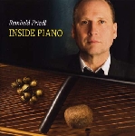 reinhold friedl (zeitkratzer) - inside piano reinhold friedl (zeitkratzer) - inside piano