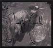 deadfly ensemble - an entire deadfly ensemble - an entire