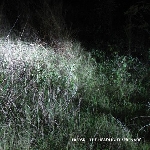 triosk - the headlight serenade triosk - the headlight serenade