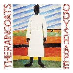 the raincoats - odyshape