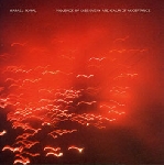 rafael toral - violence of discovery and calm of acceptance