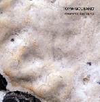 toma gouband - courants des vents toma gouband - courants des vents