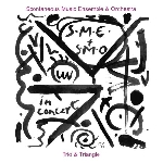 spontaneous music ensemble - trio & triangle spontaneous music ensemble - trio & triangle