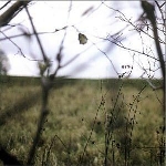 hood - the cycle of days and seasons hood - the cycle of days and seasons