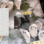 loke rahbek & frederik valentin - buy corals online loke rahbek & frederik valentin - buy corals online