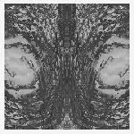 necro deathmort - the capsule necro deathmort - the capsule