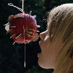 puce mary - the drought puce mary - the drought