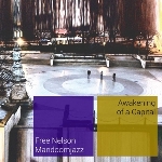free nelson mandoomjazz - awakening of a capital free nelson mandoomjazz - awakening of a capital