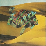 django django - s/t django django - s/t