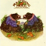 matching mole - matching mole -digi- matching mole - matching mole -digi-