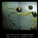 the imaginary soundscapes (frédéric nogray - stéphane rives) - a way out by knowing smile the imaginary soundscapes (frédéric nogray - stéphane rives) - a way out by knowing smile