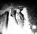 oiseaux-tempête - s/t oiseaux-tempête - s/t