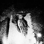 oiseaux-tempête - s/t oiseaux-tempête - s/t