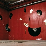 aucan - s/t aucan - s/t