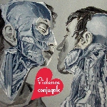 violence conjugale - s/t