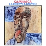 camisasca - la finestra dentro