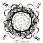 arc - glassine 1 arc - glassine 1