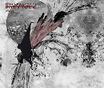 strange2 - ciclos strange2 - ciclos