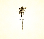 patrick watson - wooden arms patrick watson - wooden arms