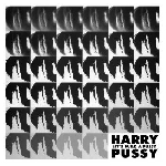 harry pussy - let's build a pussy harry pussy - let's build a pussy