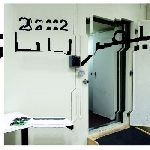 florian hecker - شیمرسازی florian hecker - شیمرسازی