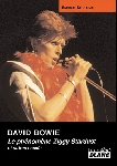 enrique seknadje - david bowie le phenomene ziggy stardust enrique seknadje - david bowie le phenomene ziggy stardust
