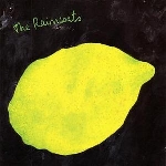 the raincoats - extended play