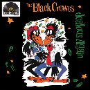 The Black Crowes - Jealous Again (RSD 2020)