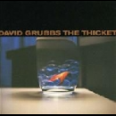 david grubbs - the thicket