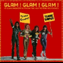 v/a - glam ! glam ! glam ! (12 glam monsters from the glittering seventies)