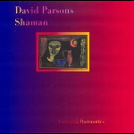 david parsons - shaman