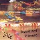 dominique grimaud - slide