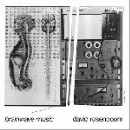 david rosenboom - brainwave music