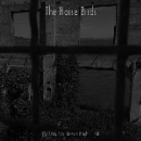 the noise birds - the dark sea hides a bright light