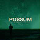 The Radiophonic Workshop - Possum (green vinyl - RSD 2021)
