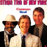 string trio of new york (bang - emery - lindberg) - common goal